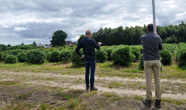 Experter på att plantera exklusiva trädgårdar och högkvalitativa trädgårdsprojekt. block