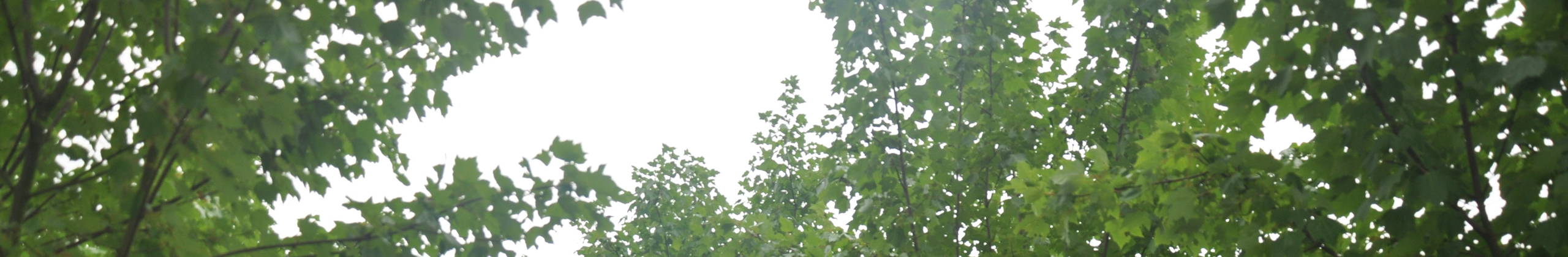 Mehrstämmige header