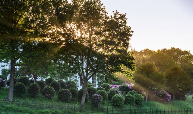 Jardin anglais block