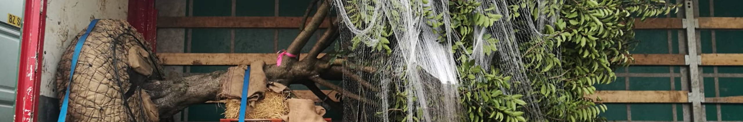 Transportation header