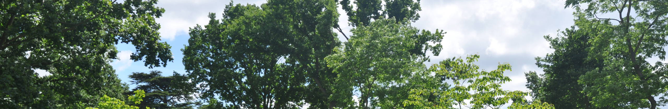 Naturgarten header