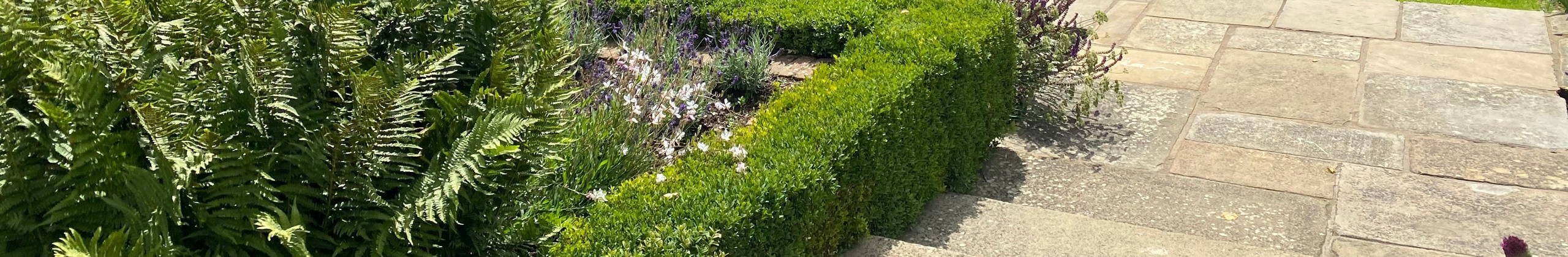 Jardin au bord de l'eau header